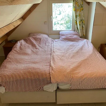 Garden Find Zandvoort Bentveld