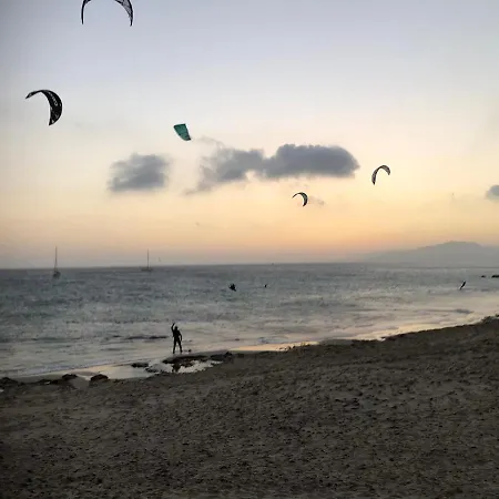 Garden Find Zandvoort *