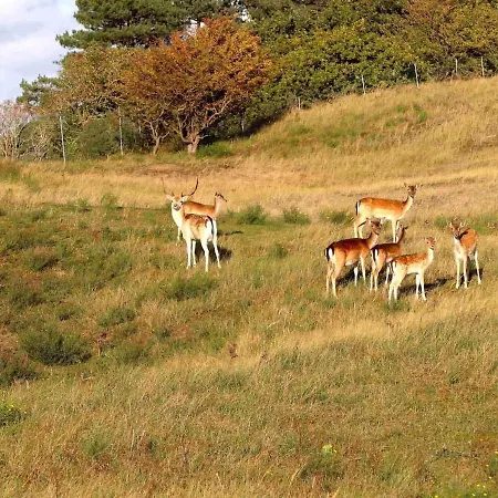 度假居 Garden Find Zandvoort Bentveld