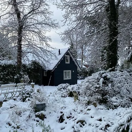 Garden Find Zandvoort * Bentveld