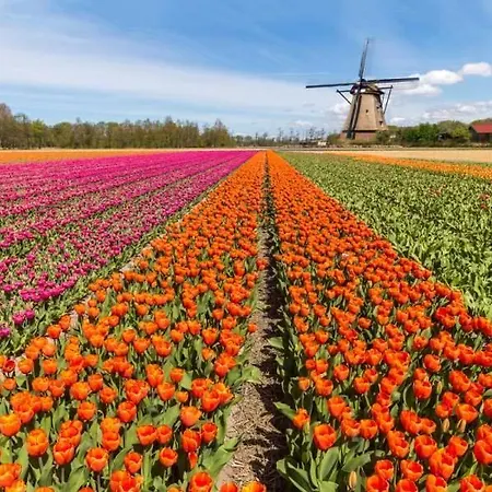 Дом отдыха Garden Find Zandvoort