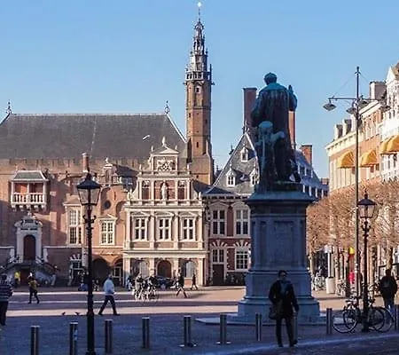 Garden Find Zandvoort *